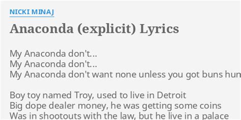 anaconda lyrics explicit.